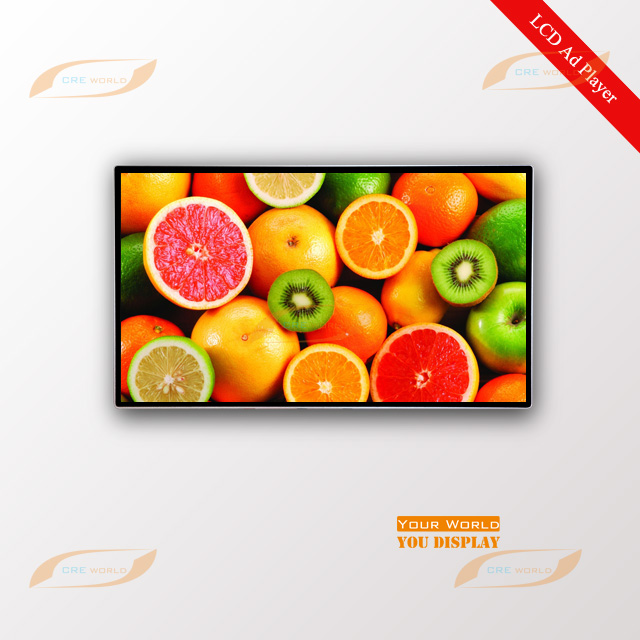 49 Inch Indoor Wall Mount LCD Advertising Display Screen